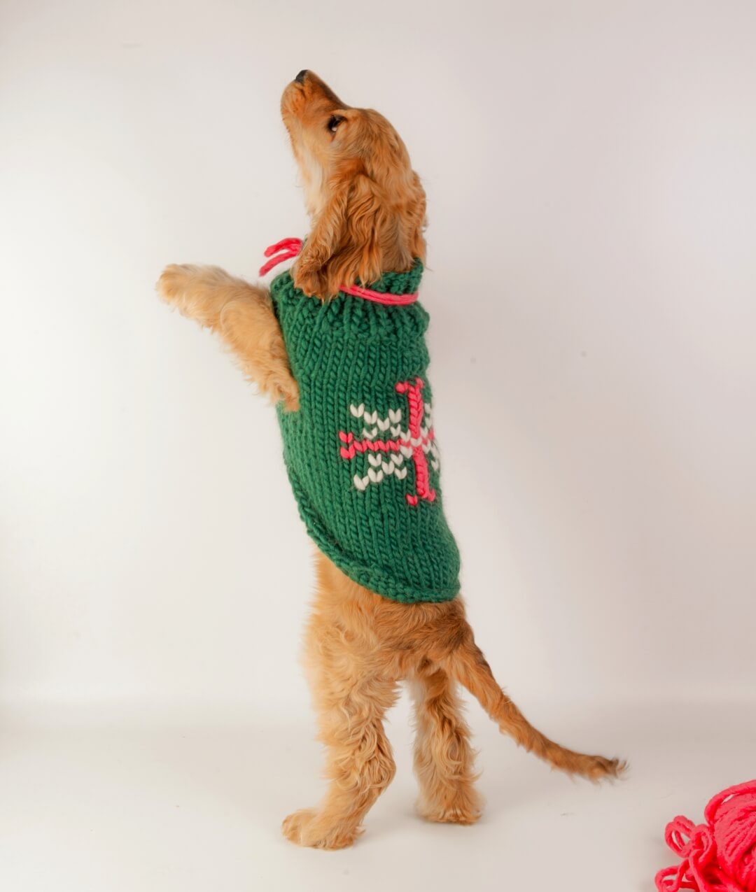 BRUNO DOG COAT - SCHEMA GRATUITO