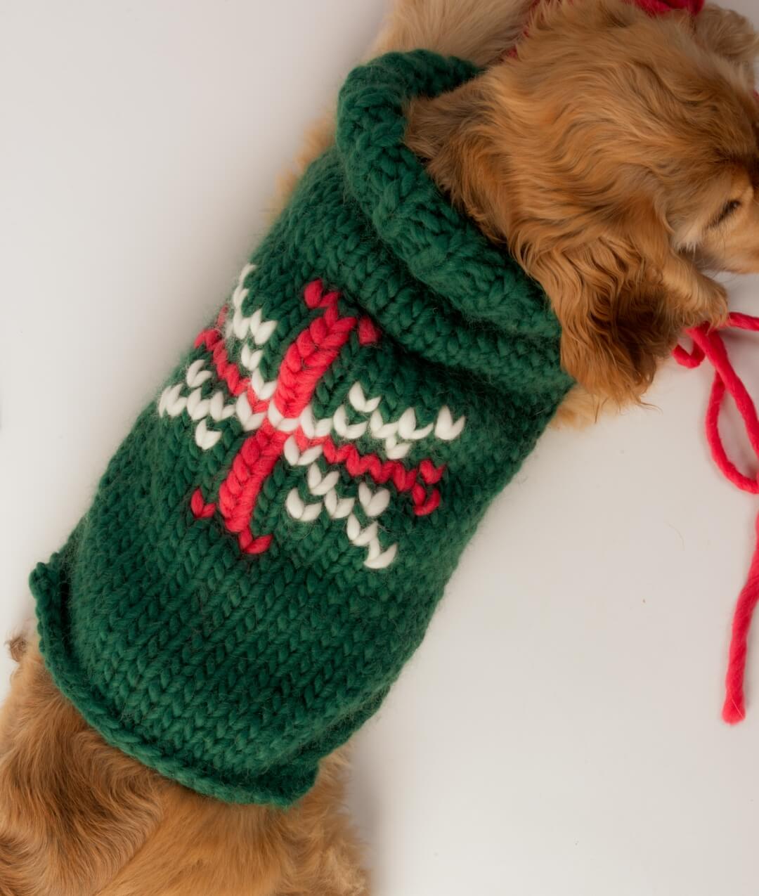 BRUNO DOG COAT - SCHEMA GRATUITO