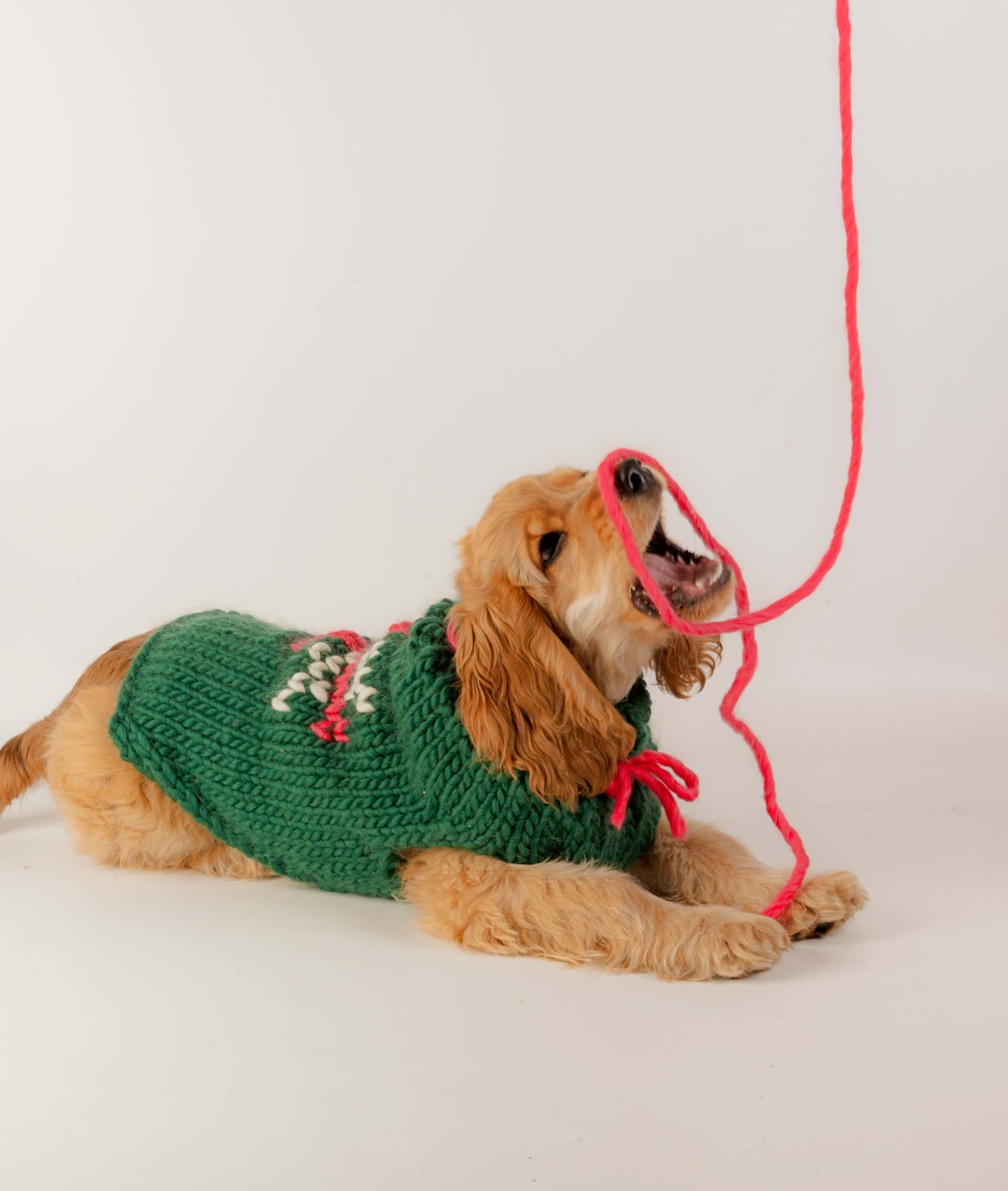 BRUNO DOG COAT - SCHEMA GRATUITO