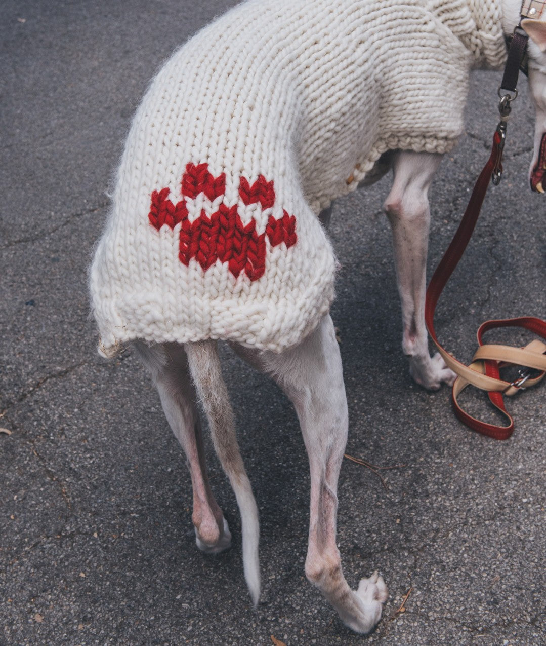 PAWS & STITCHES - E-BOOK DI SCHEMI DIGITALI