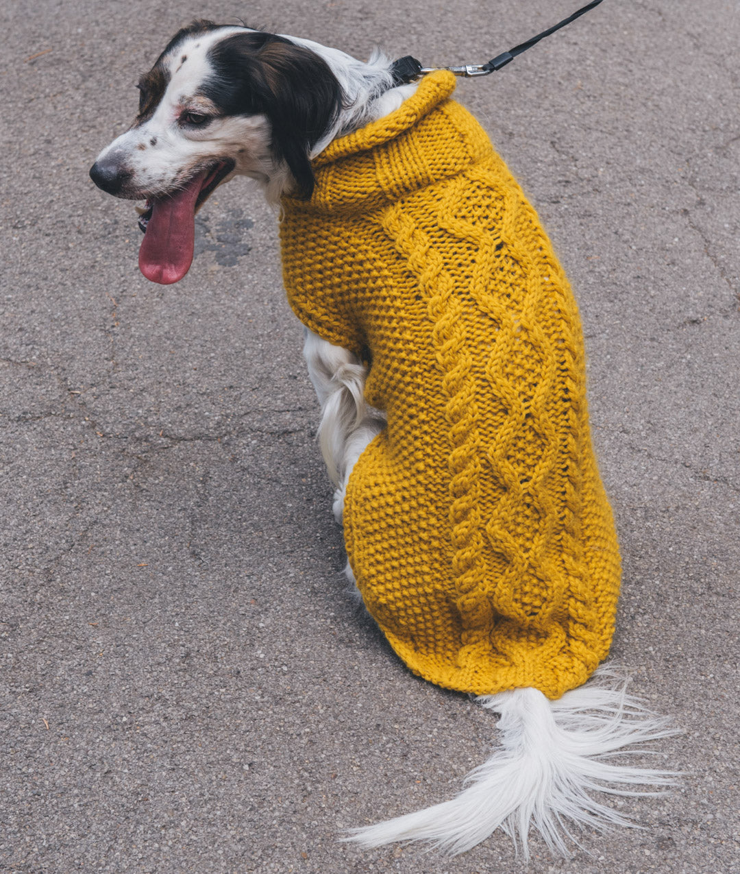 PAWS & STITCHES - E-BOOK DI SCHEMI DIGITALI