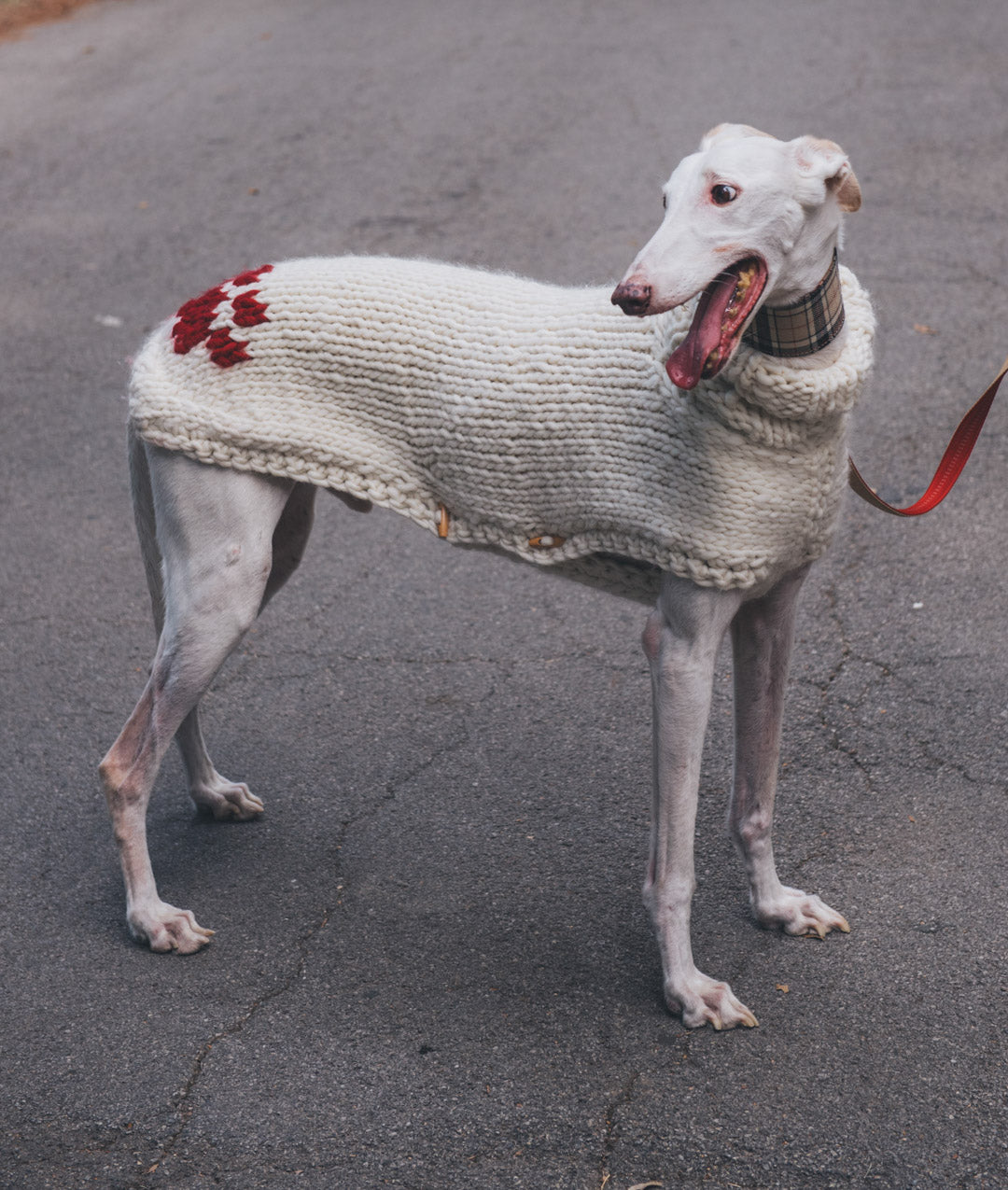 PAWS & STITCHES - E-BOOK DI SCHEMI DIGITALI