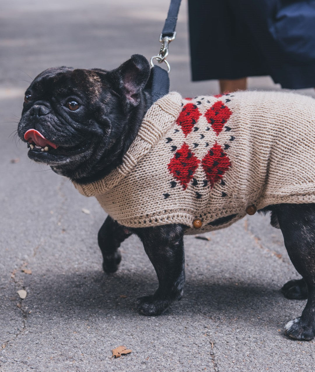 PAWS & STITCHES - E-BOOK DI SCHEMI DIGITALI