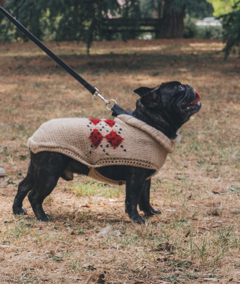 PAWS & STITCHES - E-BOOK DI SCHEMI DIGITALI