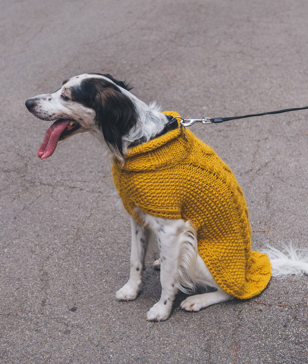 PAWS & STITCHES - E-BOOK DI SCHEMI DIGITALI